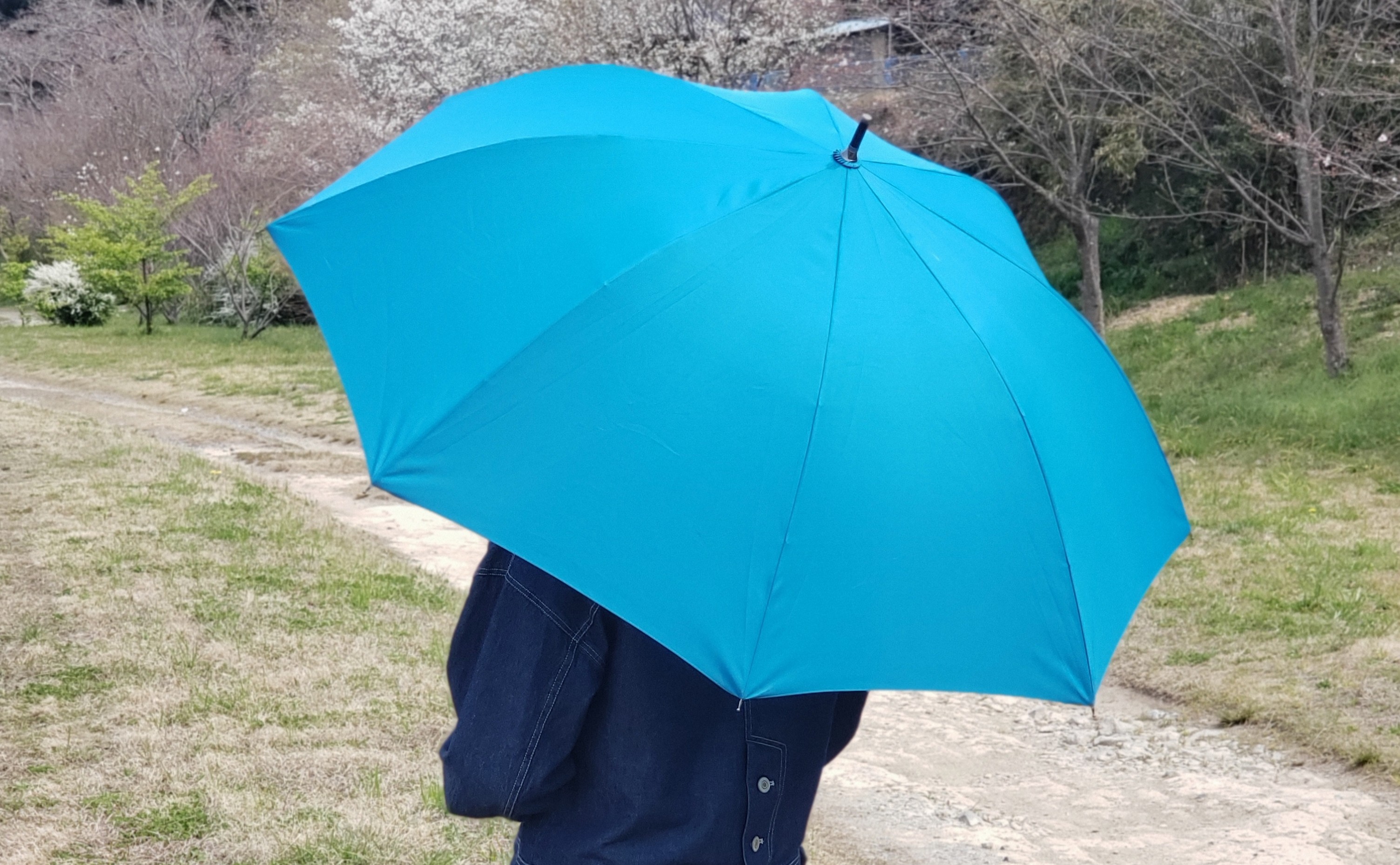 耐風設計傘